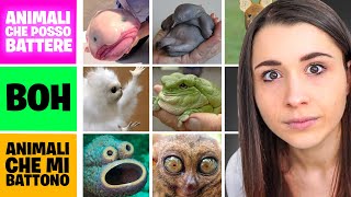 VOGHELITA AMA GLI ANIMALI  TIER LIST [upl. by Noillimaxam826]