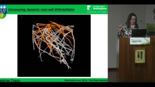 Exploring the rhizosphere Imaging rootsoil interactions using xraycomputed tomography HD [upl. by Halbeib]