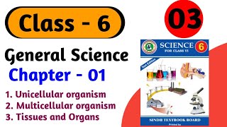 Unicellular and Multicellular organisms  Tissue And Organs class 6 science chapter 1 sindh board [upl. by Raamal210]