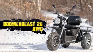 Boomerbeast 2D AWD  Daymak’s Latest Mobility Scooter With All Wheel Drive [upl. by Treiber]