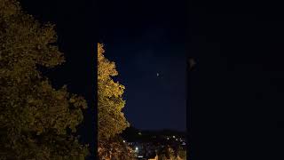 🦇 Pipistrelle bats 🦇 feeding in moonlight around Ventnor [upl. by Boleslaw]