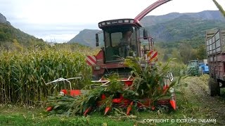 LENSILAGE DE MAIS  UN MOMENT DE PARTAGE  SILAGE HARVESTING CASE IH 7400 [upl. by Linneman]