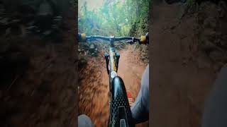 jalur favorit🔥 mtb polygon downhill mtb enduro mtblife [upl. by Hniv]