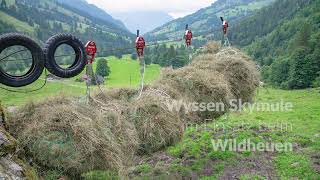 Wyssen Skymule Einsatz beim Wildheuen [upl. by Milford745]