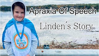 My Son Has A Rare Speech Disorder Called Apraxia of Speech This is his story to spread Awareness [upl. by Anivahs]