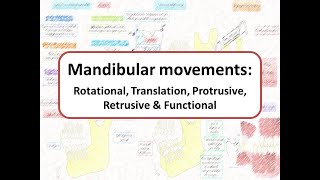 Mandibular movements Rotational Translational Protrusive Retrusive amp Functional [upl. by Aerdnaed758]