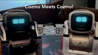 Cozmo Meets Cozmo  Cozmo World [upl. by Felten333]