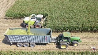 Chopping Corn Silage near Greensburg Indiana [upl. by Stead]