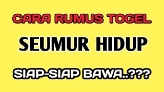 Cara menghitung angka togel 4d 100 tembus setiap hari  RT channel [upl. by Baggs]