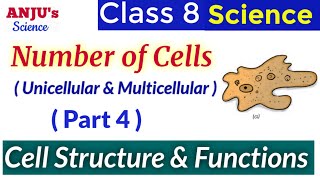 Number of Cells  Unicellular  Multicellular organisms  Science Class 8 Chapter 8 Cell [upl. by Egreog]