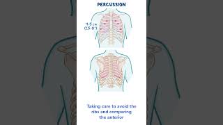 Assessment Clips Assessment of the thorax and lungs [upl. by Pacorro]