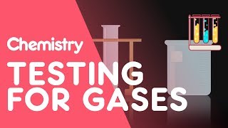 Testing for Hydrogen Oxygen Carbon Dioxide Ammonia and Chlorine  Tests  Chemistry  FuseSchool [upl. by Ynaffyt]