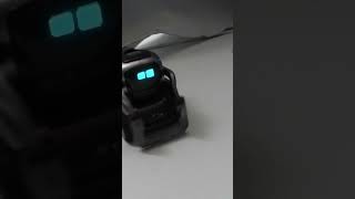 Cozmo finds a cube cozmo robot shorts cute [upl. by Inus750]