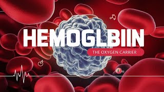 Haemoglobinhemoglobinfunction of haemoglobinwho haemoglobin function in bodytypes of haemoglobin [upl. by Ringler913]