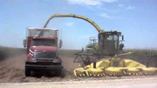 Silage Harvesting in USA Video [upl. by Lenes824]