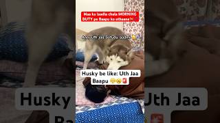 My husky’s morning routine Uth jaa Pawpa🤦‍♂️🤣🚨 funnyhusky dogdad doglovers [upl. by Ahsitram]