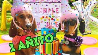 MI FIESTA DE 1 AÑITO  LOS POLINESIOS VLOGS [upl. by Ahsaz]