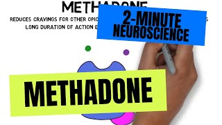 2Minute Neuroscience Methadone [upl. by Dysart413]