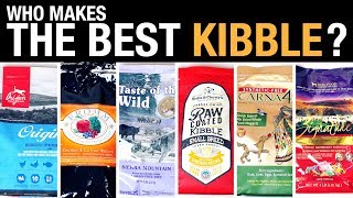 The Pet Food Kibble Review [upl. by Bromley]