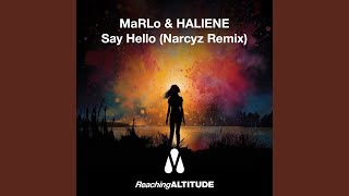 Say Hello Narcyz Remix [upl. by Isiahi]