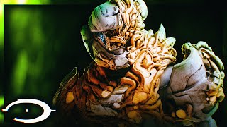 THE RETURN OF THE FLOOD  NEW Spartan Combat Forms EXPLAINED amp A NEW GRAVEMIND [upl. by Annaierb833]