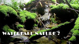 How to build Paludarium streams natural  Bể bán cạn dòng suối tự nhiên  Ho Minh [upl. by Enimaj]