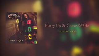 HURRY UP amp COME  B5 963Hz  Cocoa Tea Official Audio [upl. by Josi]