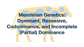 Mendelian Genetics Dominant Recessive Codominance and Incomplete Dominance Explained [upl. by Naleag]