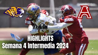 HIGHLIGHTS  Aguilas Blancas IPN vs Autenticos Tigres UANL  Semana 4  Intermedia ONEFA 2024 [upl. by Finn]