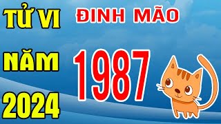 Tử Vi Tuổi Đinh Mão 1987 Năm 2024 Giáp Thìn [upl. by Nytsirhc]