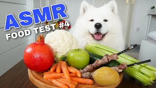 Dog Reviews Different Types of Food  Maya Monch Mission 4 [upl. by Allyce964]