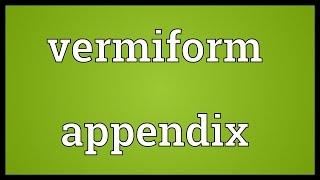 Vermiform appendix Meaning [upl. by Grosvenor]