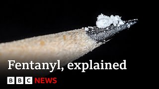 Fentanyl Why are so many Americans dying from synthetic opioids  BBC News [upl. by Metcalf]