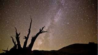 Milky Way TimeLapse  Ancient Bristlecone Pine Forest [upl. by Teece]