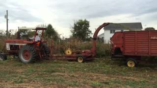 Chopping silage [upl. by Sina932]