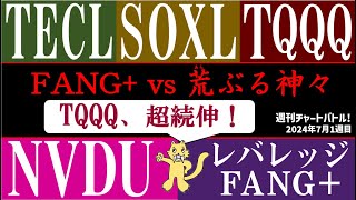 【続伸の神々】FANG vs レバレッジFANG NVDU SOXL TECL TQQQ！授かるのは恵みか神罰か！？【2024年7月1週目】 [upl. by Damha806]