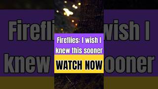 The Science of Fireflies Natures Glowing Magic [upl. by Tila]