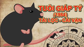 1984 mệnh gì Tuổi Giáp Tý 1984 hợp màu gì [upl. by Drarig137]