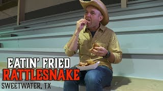 Eating Fried Rattlesnake in Sweetwater  The Daytripper [upl. by Ahseym]