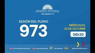 Siga en vivo la Sesión 973 del Pleno de la Asamblea Nacional del Ecuador [upl. by Zerdna844]