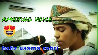 usama zehri  quran tilawat traweeh namaz  quran tilawat beautiful voice  naat ltd [upl. by Conlee]