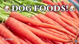 TOP 10 BEST FOODS FOR DOGS [upl. by Retsof]