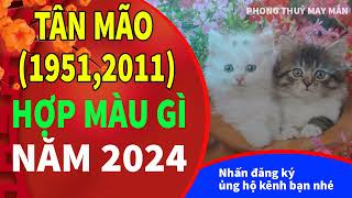 Tuổi Tân Mão 1951 2011 hợp với màu gì năm 2024 để mang lại TÀI LỘC MAY MẮN [upl. by Anomas]