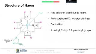 Hemoglobin I [upl. by Ahsenev]