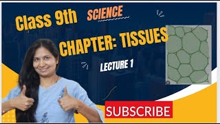 Tissues  Chapter 6  Class 9  Science [upl. by Luwana]