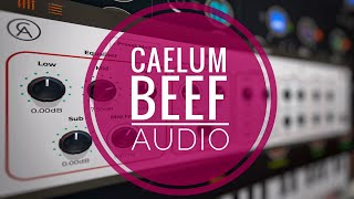 Caelum Audio Beef Detailed Walkthrough [upl. by Zelle484]