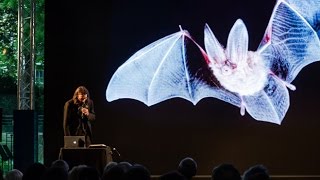 A Bat night avec Patti Smith Cédric Villani  Les Nuits de LIncertitude  2014 [upl. by Sadnalor]