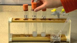 Gas Tests The Tests for Carbon Dioxide Oxygen and Hydrogen [upl. by Ahsiakal]