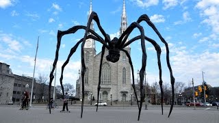 Louise Bourgeois  Maman  Artracaille 19052009 [upl. by Lulita]