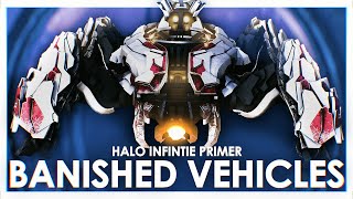 The Lore Behind ALL The Banished Vehicles Halo Infinite Primer ft Covenant Canon [upl. by Mellette]